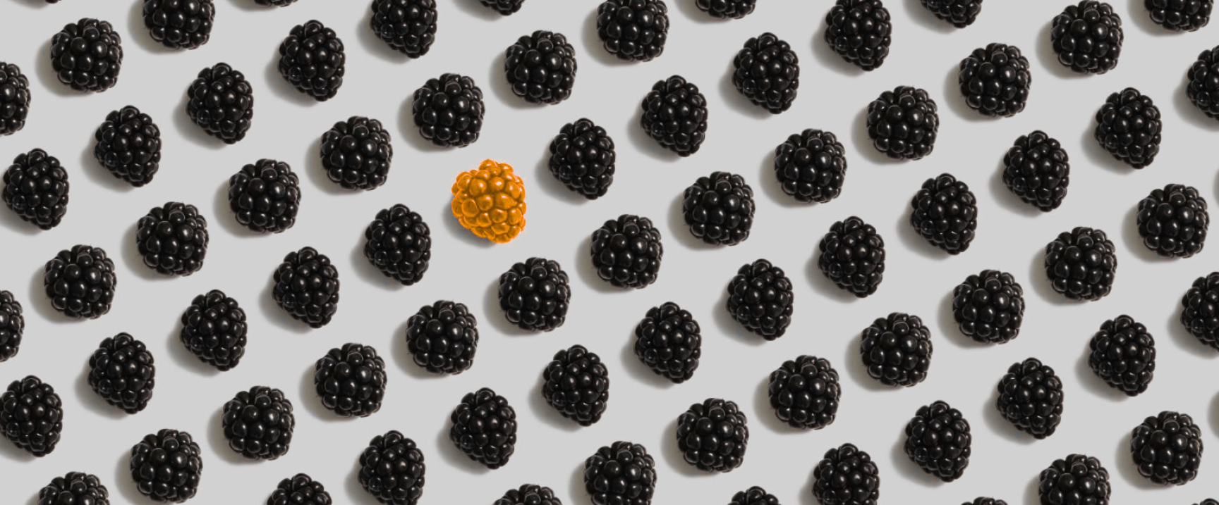 imagen de moras representando servicios, con una que destaca en color amarillo